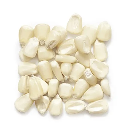 Organic Corn Non-GMO for Animal Feed Yellow Maize Wholesale Price