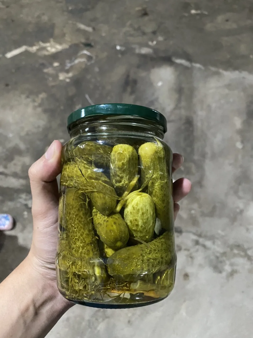 Wholesale Price Pickled Gherkin Cucumber Best Grade Reliable Supplier