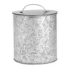 Galvanized