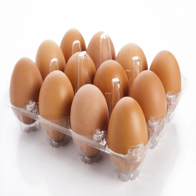 Hot Sale Fresh Eggs brown/white Chicken Eggs top Quality best and competitive prices