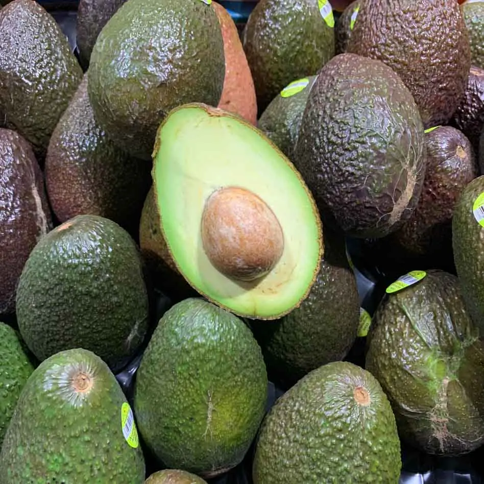 Wholesale Fresh and Frozen Top Grade Avocado Fruits at Good Price