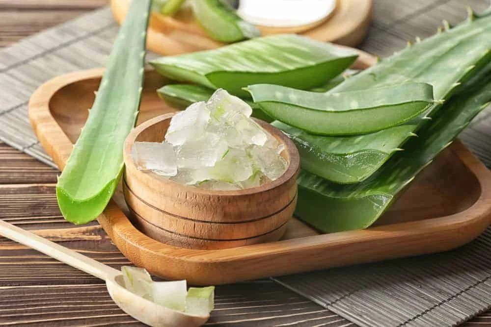 Aloe Vera Gel-Wrfel in Sem Sirup Brix 10-12%, PH 3,3-4, Feststoffgehalt  65% Topping fr Kalte Getrnke und Desserts| Alibaba.com
