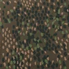 Camouflage allemand de la Seconde Guerre mondiale, motif "pea" (DOT44)