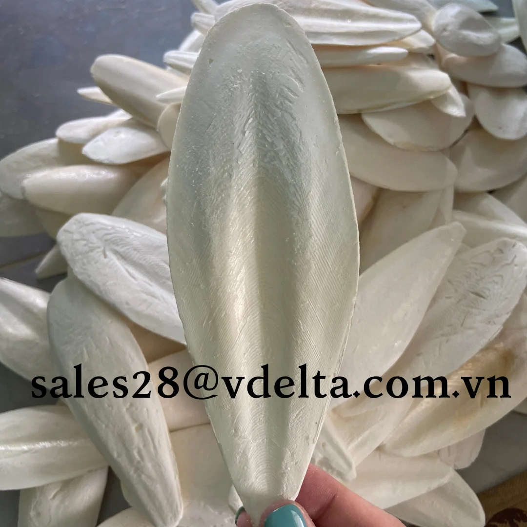 Premium Sun Dried Cuttlefish Bone From Vietnamcuttlefish Bone For Pet