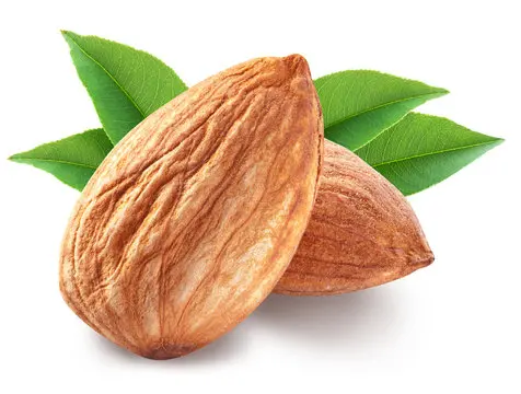Bitter California Premium Quality Best Grade Raw Almonds Natural Roasted Dried Nuts DE Origin for Food Order Now