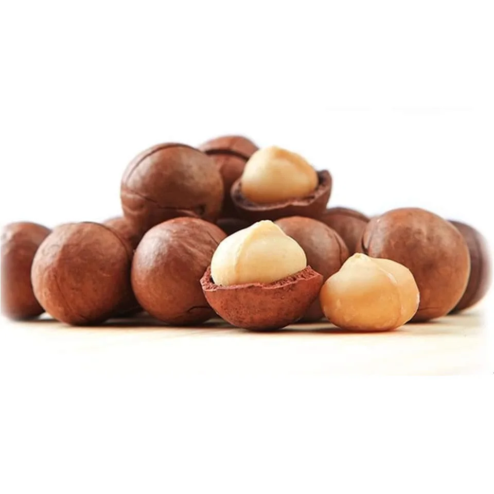 Austria a Grade Organic Macadamia Nuts Roasted and Dried White and Black 15-20kg Raw Macadamia Nut Bag Packaging for Food Use