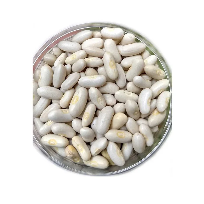 100 Organic Natural Agriculture Product Large White Kidney Beans Raw