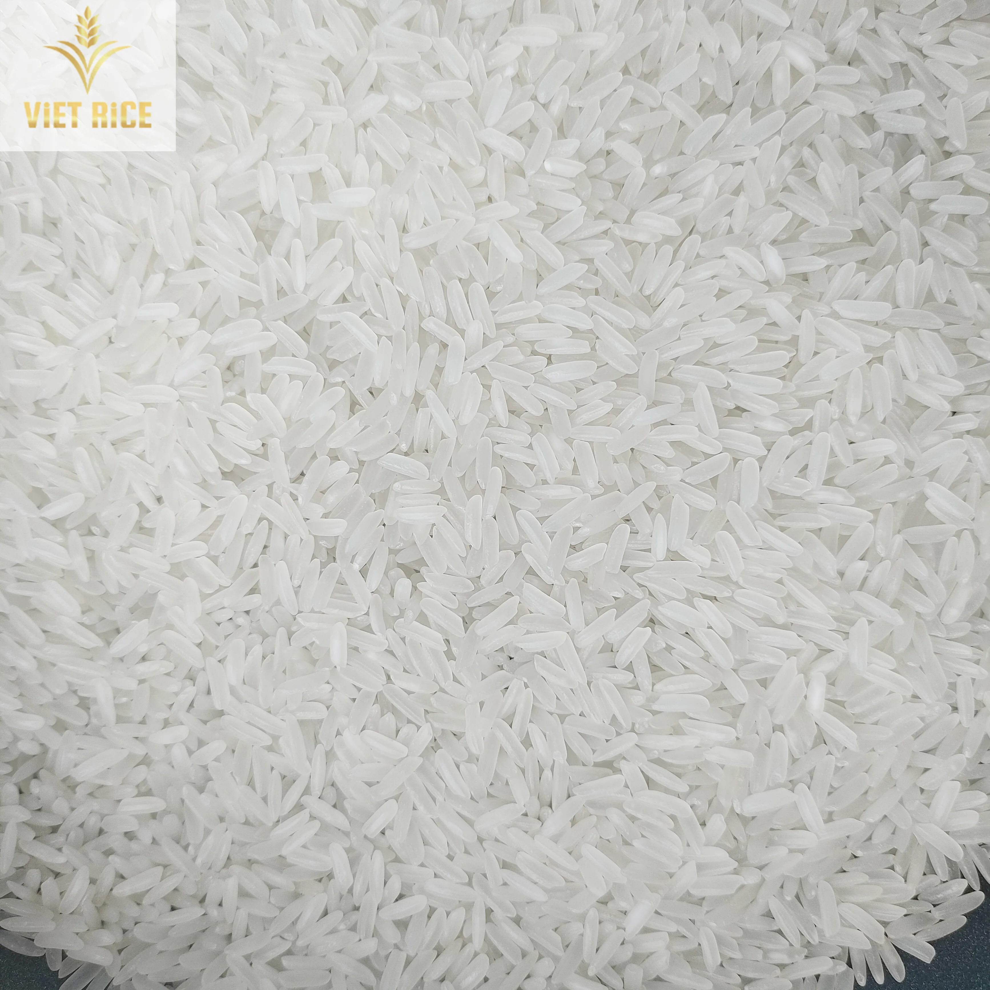 High Quality White Rice Jasmine Rice Produced From Vietnam Manufacturer