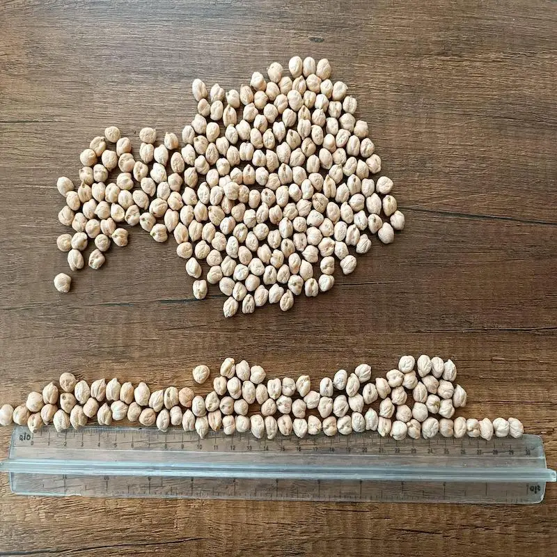 Сушеный нут для приготовления пищи, 2 кг/где купить лучший бренд, Кабули нута 7 мм от индейки/нута для продажи