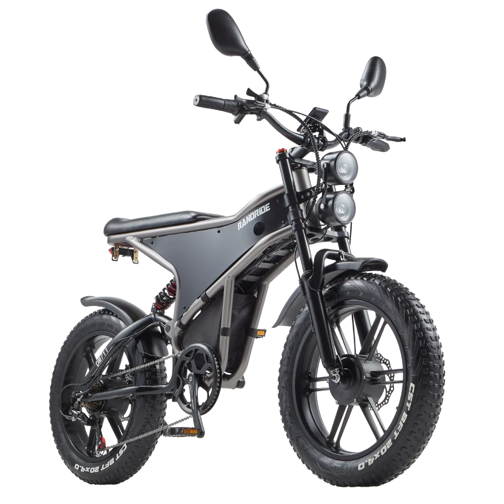 RANDRIDE DM711 Electric Motorcycle Dual Motor Drive 1000W*2 Peak Power for City Commuting