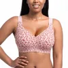 MH4660P-Rosa