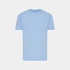 Blue Celeste