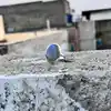 Same as in Image
