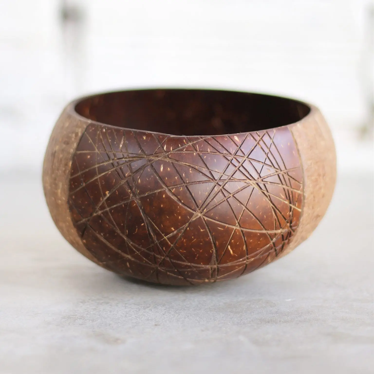 Sustainable dinnerware eco friendly biodegradable coconut shell bowl ...