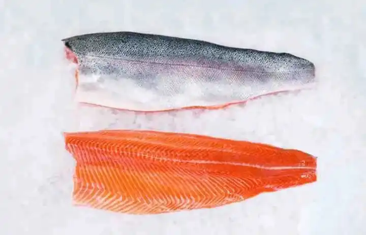 Frozen Wild Salmon Frozen Salmon Fish Fillets Frozen Chum Salmon Fillet ...