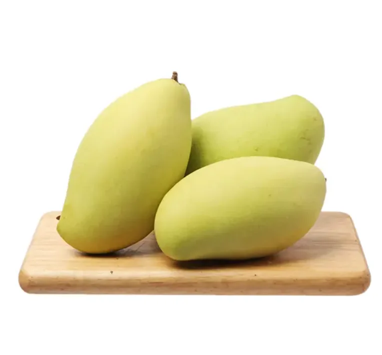 0100 (10).png