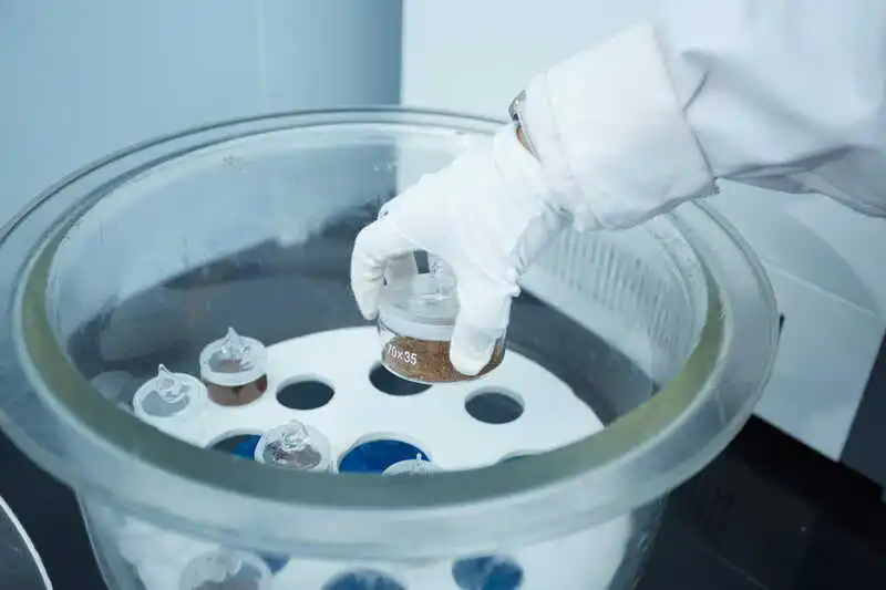 10in1 Soup Pack Morel Matsutake Tea Tree Mushroom Hericium Reishi