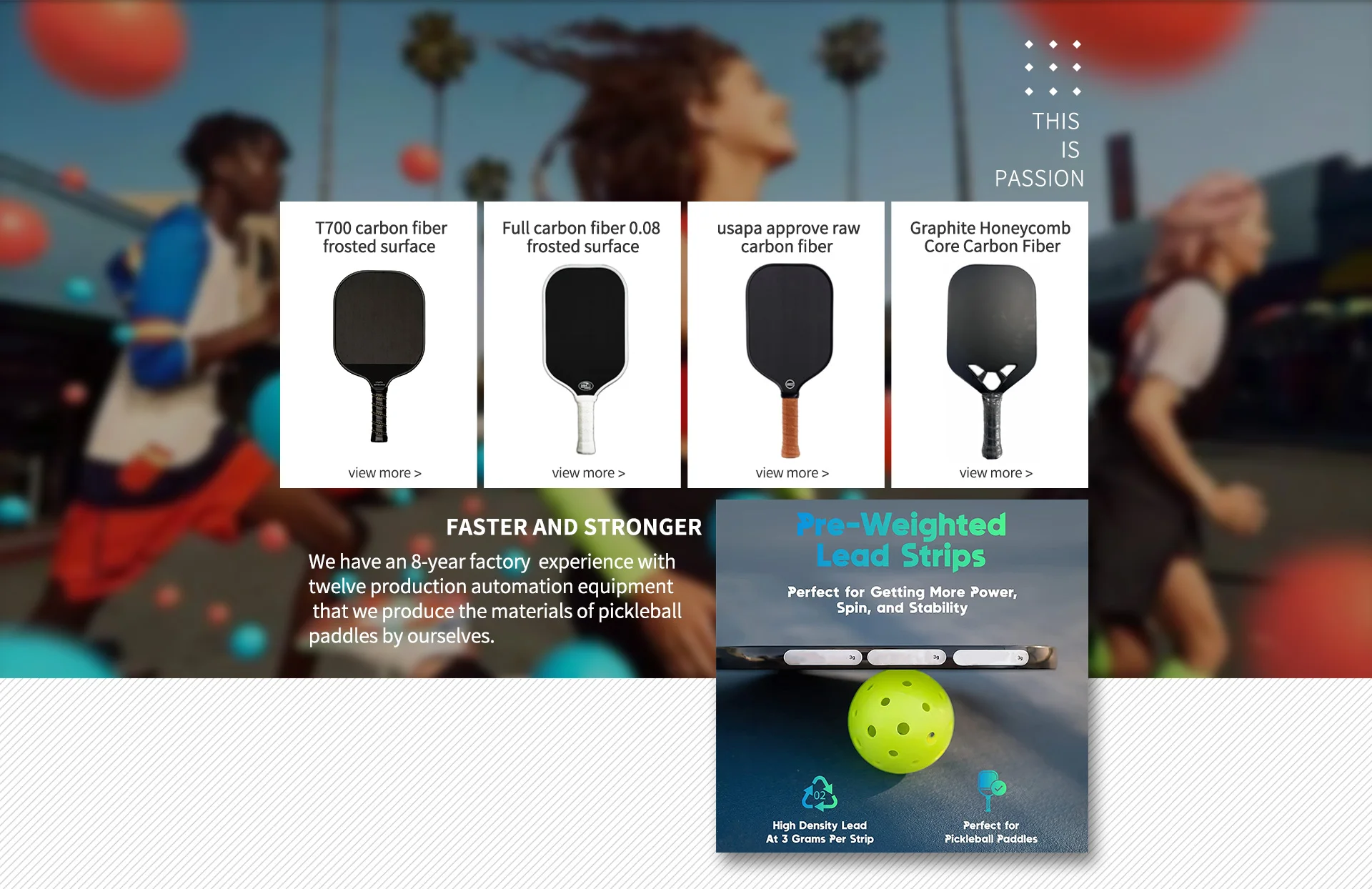 Xiamen Balance Power Winner Technology Co., Ltd. - pickleball paddle