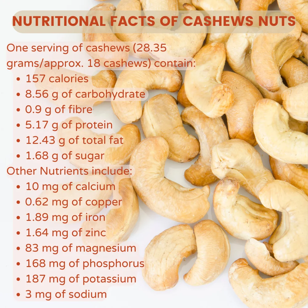 Sw240 Cashew Indian Scorched Whole Vietnam Origin 100% Natural Cashew ...