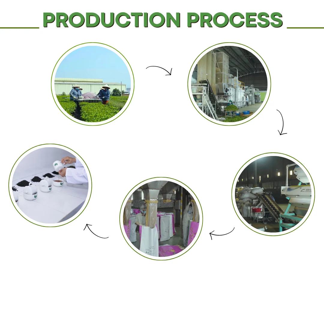 Vietnam Products Green Leaf Pekoe Matcha Wholesale High Caffeine Tea