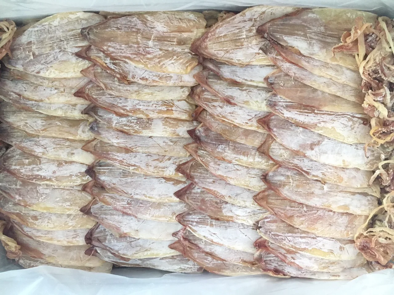 Cheap Price Dried Black Squid From Vietnam 2022 New Season (jennie) Buy Dried Black Squid