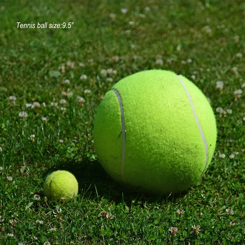 Custom Logo Big Size Tennis Player Signature 9.5 Inches Inflated Tennis Ball with Different Color