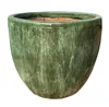 Moss Green