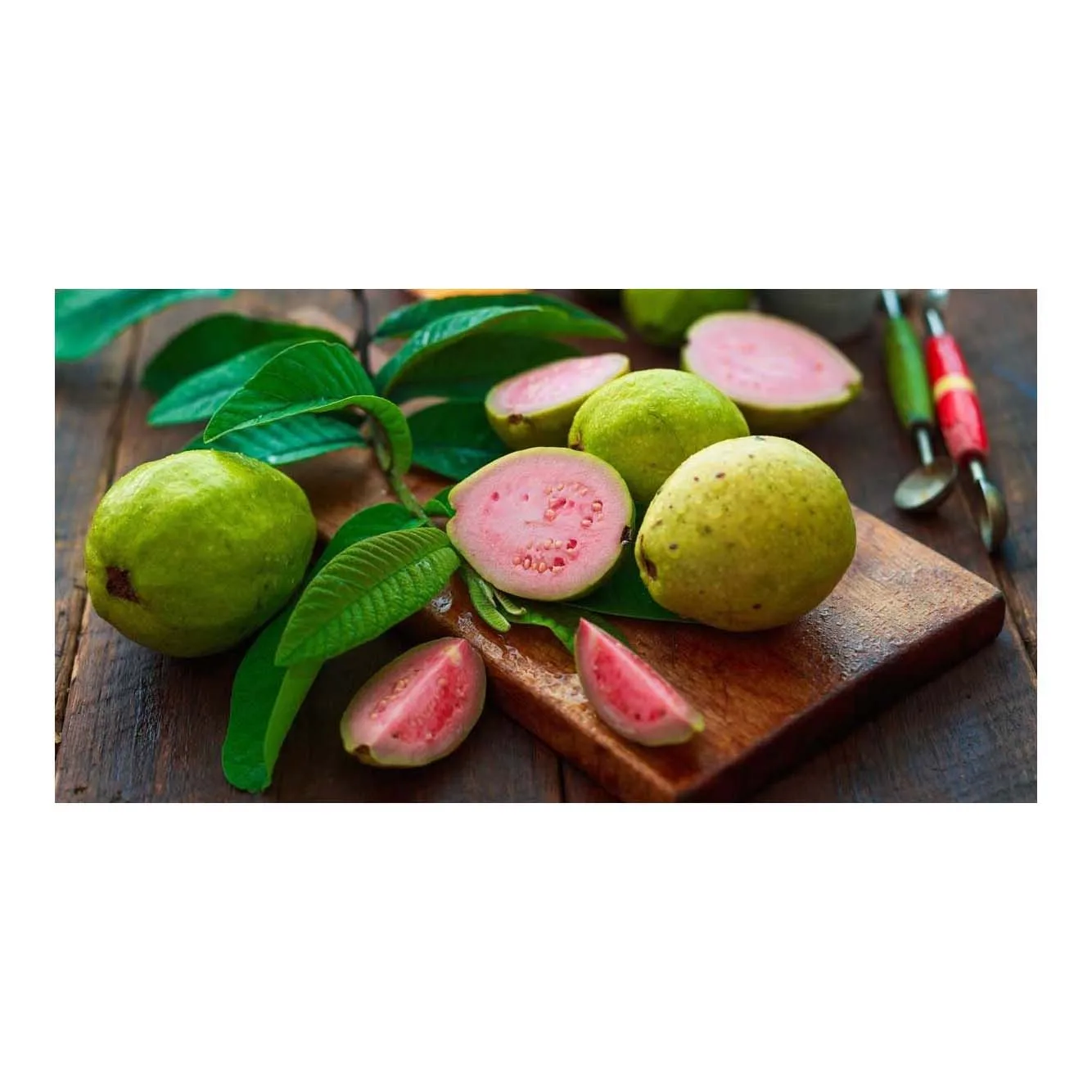Top Quality Good Taste Fresh Fruit Guava For Wholesale Purchase Fresh