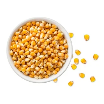 Corn7.png