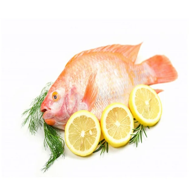 Tilapia Fish Frozen Whole Tilapia Fish Fresh Red Black Tilapia Buy