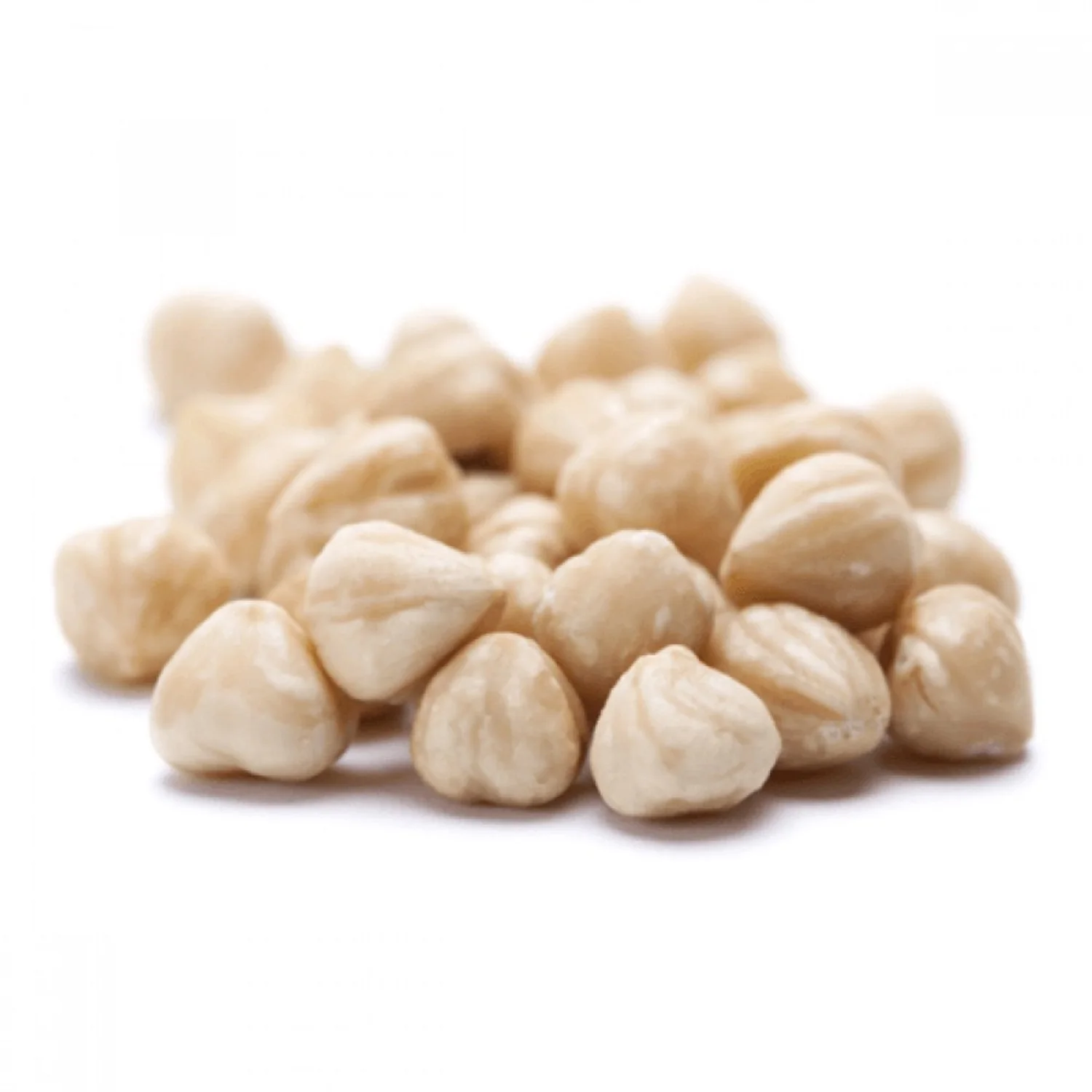 Hot Sales Inshell Macadamia Nuts Macadamia Nuts Raw Macadamia Nuts Dried