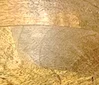 Mango Wood