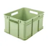 ECO Green