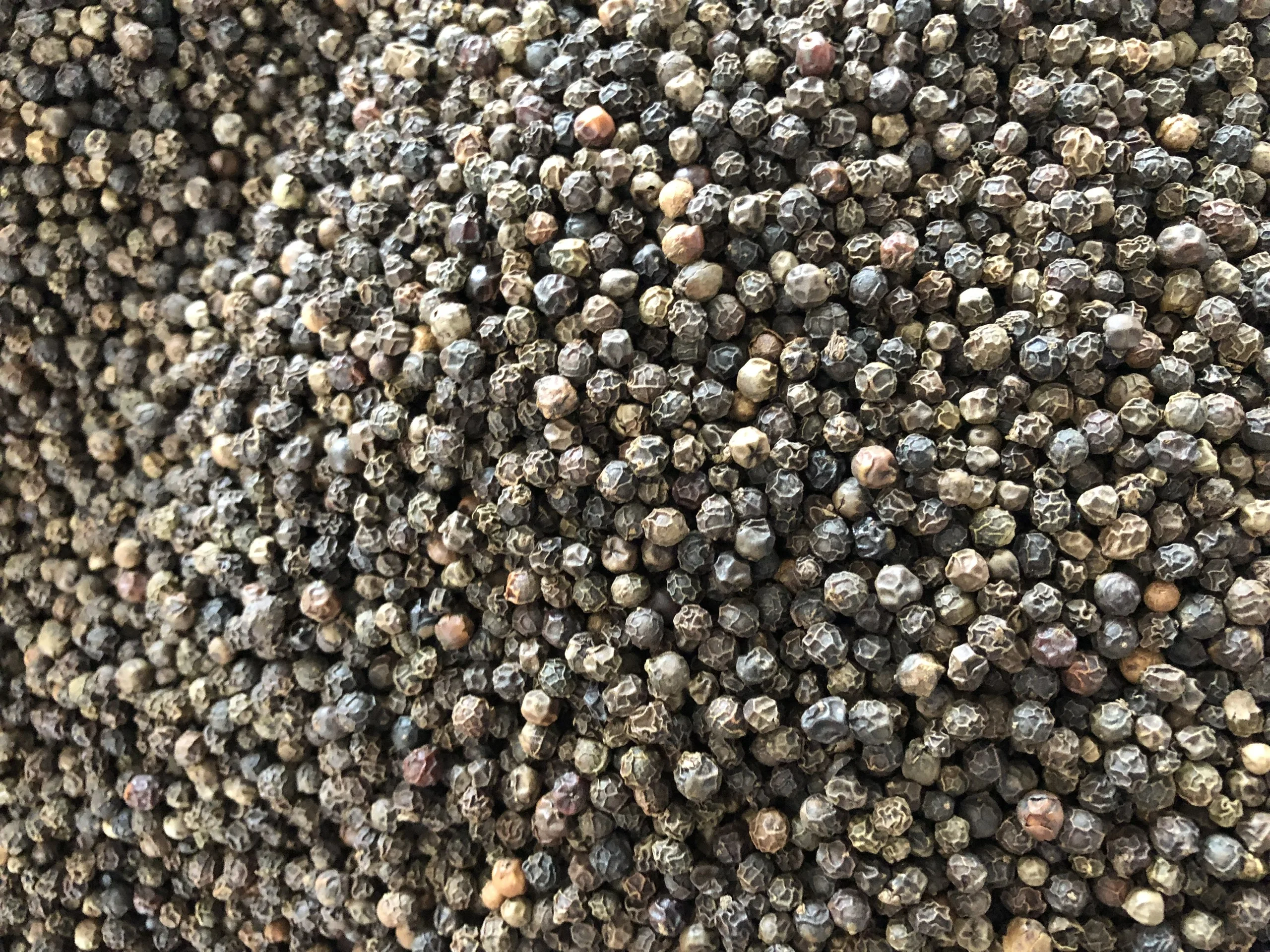 All Grades Black Pepper Vietnam Pepper Wholesale High Quality Buy