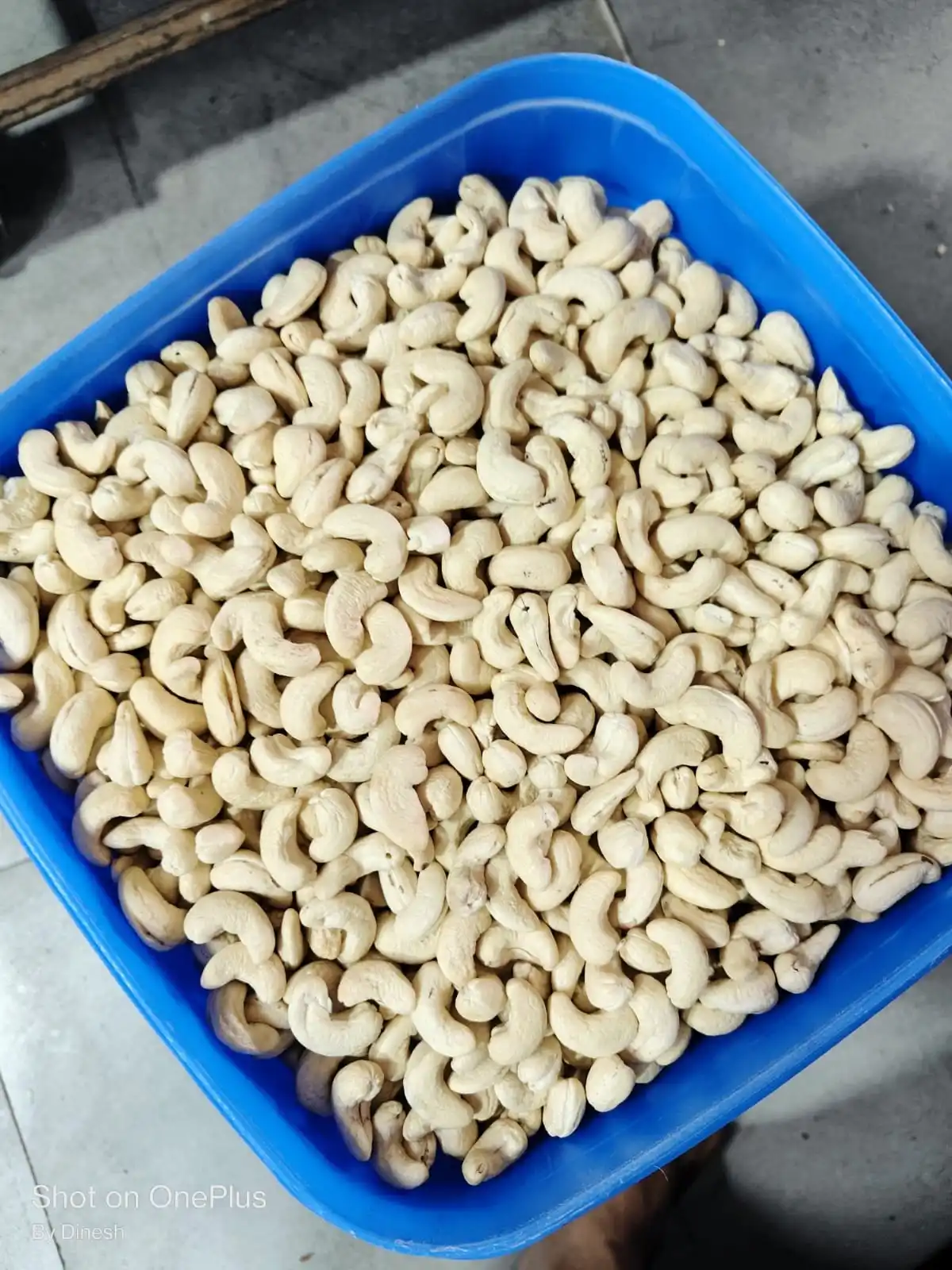 BEST PRICE BEST TASTE Cashew Nuts Roasted Raw Fried Baked All Size Nuts