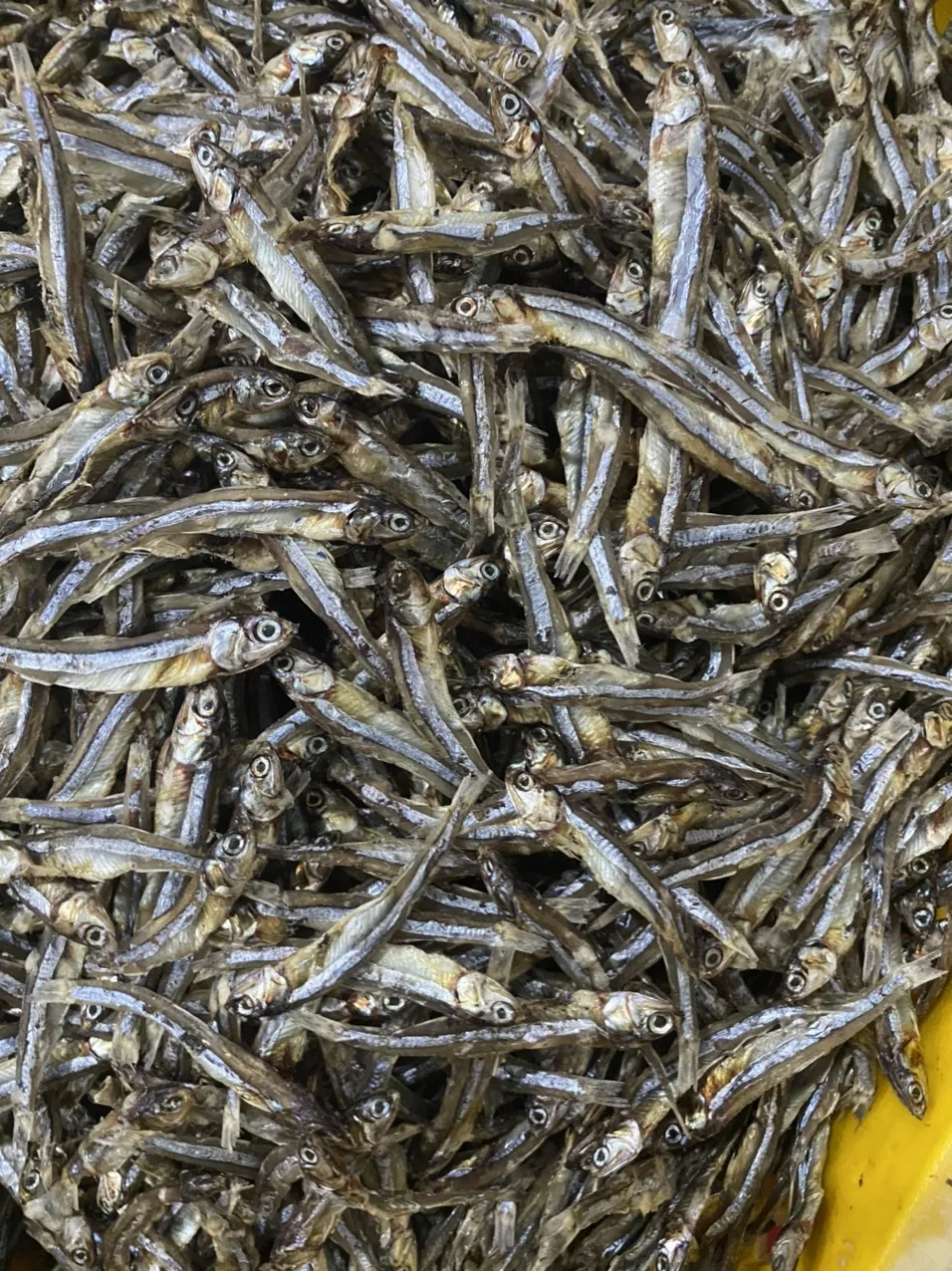 Vietnamese High Quality Dried Anchovy Fish With Head// Ms Jasmine ...