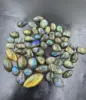 Multicolor Brillante