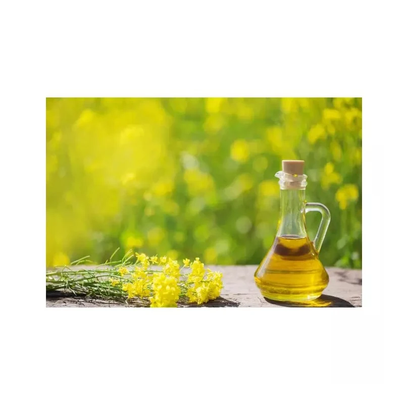 High Quality Pure Refined And Crude Rapeseed / Canola Oil Buy