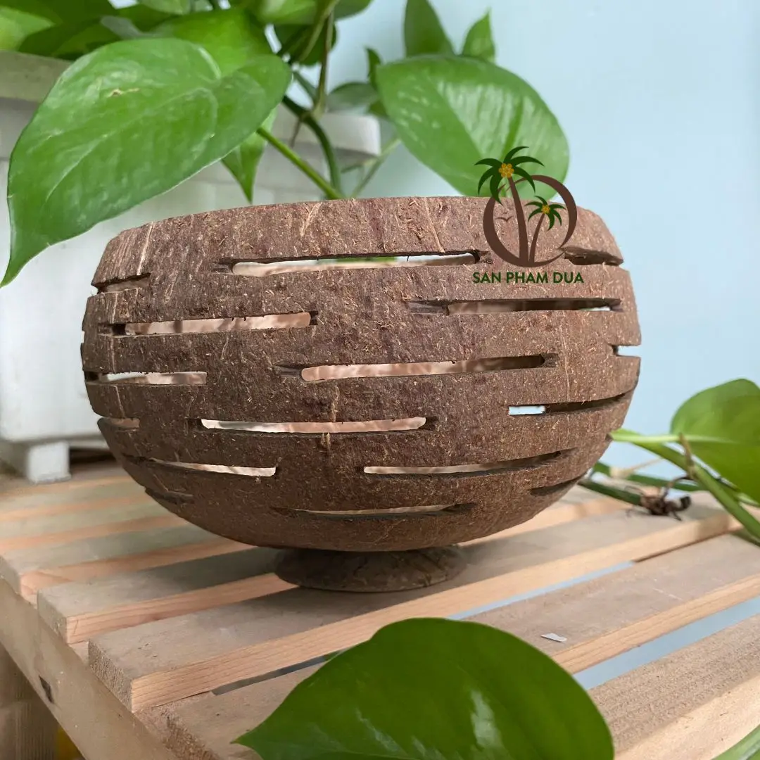 Natural Handmade Coconut Shell Pot Micro-Green Seed Planter with Hanging Feature for Garden Use