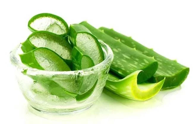 Aloe Vera in Syrup 3kg - Drink Size 5x5x5 8x8x8 10x10x10mm Supplier Bulk Quantity From Vietnam