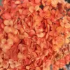 Arancione sfumato