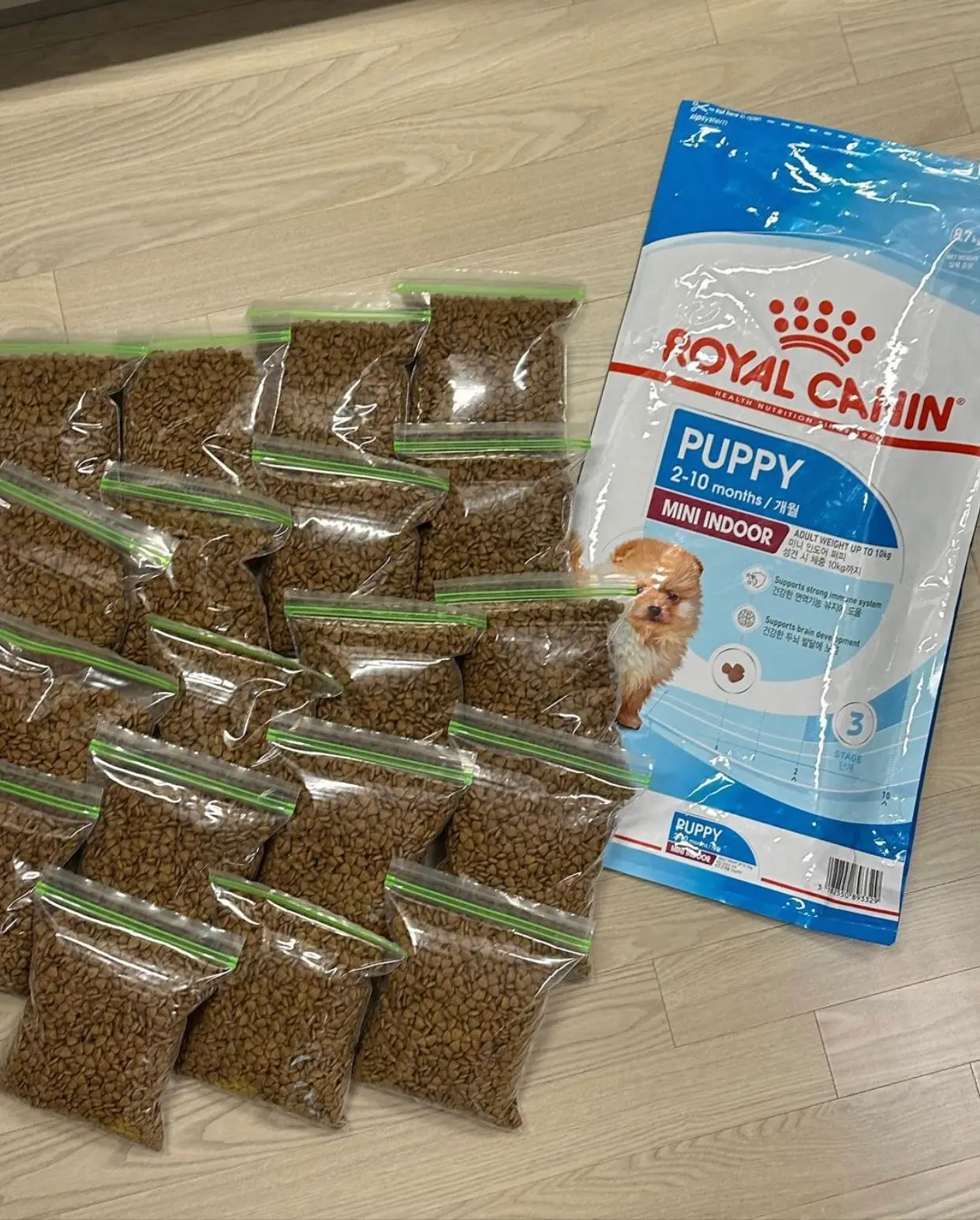 Buy Royal Canin Medium Adult Dry Dog Food Buy Wholesale Royal Canin