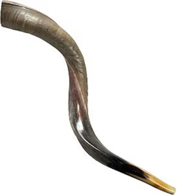Top Quality Ram Horn Shofar Natural Horn Shofar For Blowing On Rosh