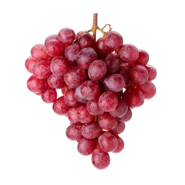 Grapes.jpg