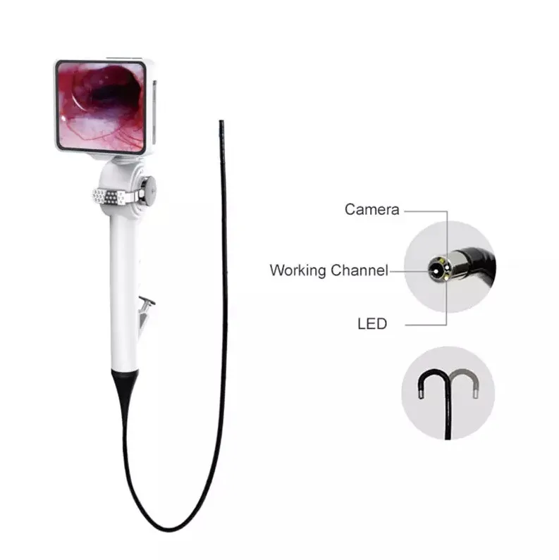 Flexible Veterinary Endoscope Intubation Video Ent Endoscope With Hd Camera Laryngoscope Buy