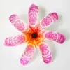 TK01 : Rose