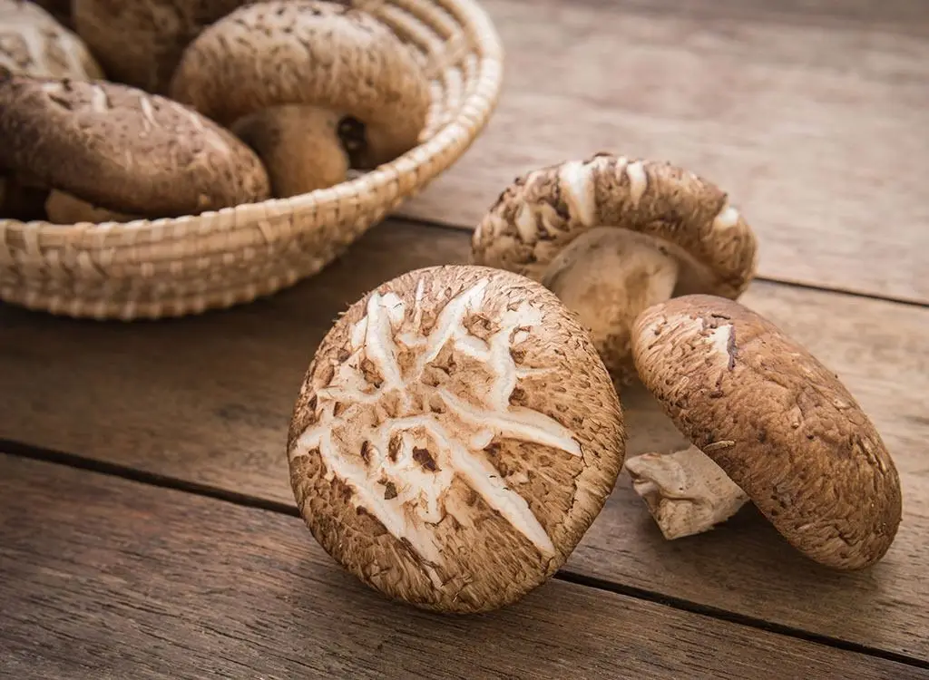 FRESH  MUSHROOM CREATE DRIED MUSHROOM or CANNED MUSHROOM