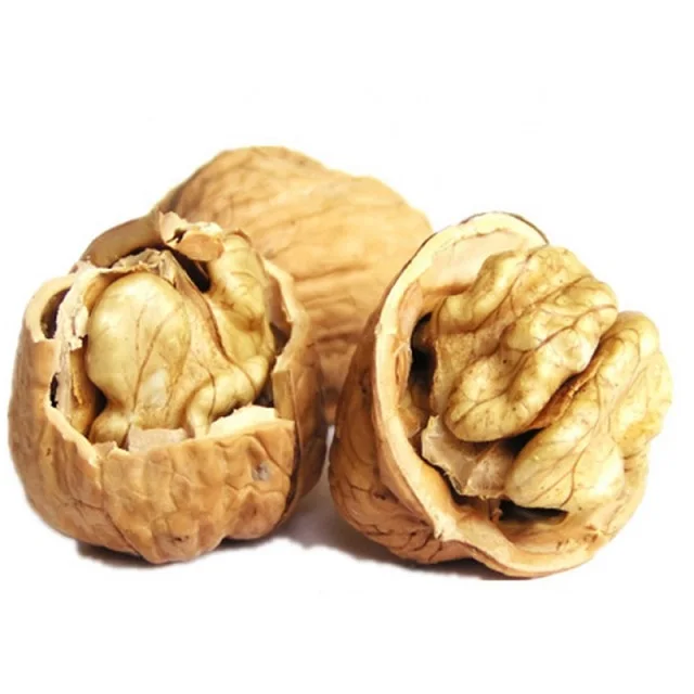 2024 Walnuts Best Seller Manufacturer Wholesale Premium Organic Walnuts in shell Turkey walnut kernel for sale