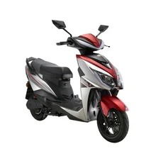 Hot Selling 1000W 45KM/H Electric Streetbikes UK Germany Wholesale SKD & CKD Electric Motorcycles Product Category