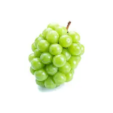 images (1).jpeg